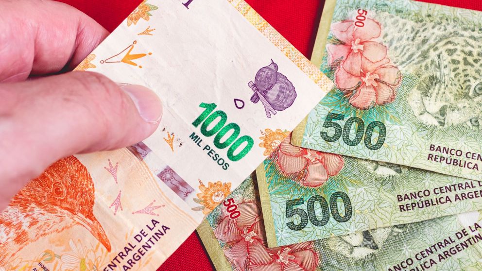 Unidades del Programa Acompañar, ¿cuáles son?