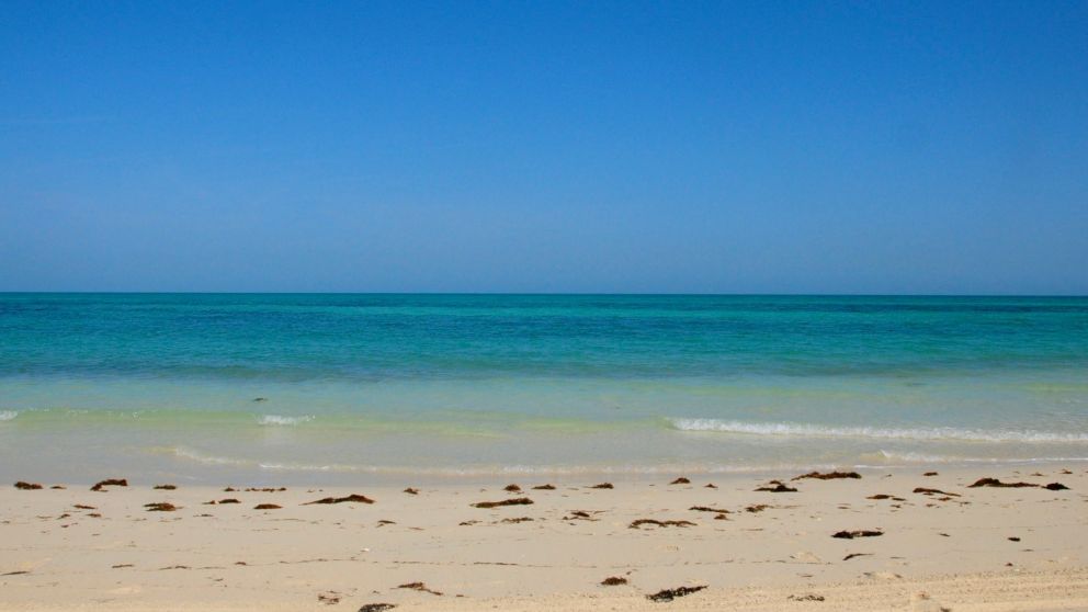 Las cabañas estarán ubicadas unos 100 km al sur de Doha