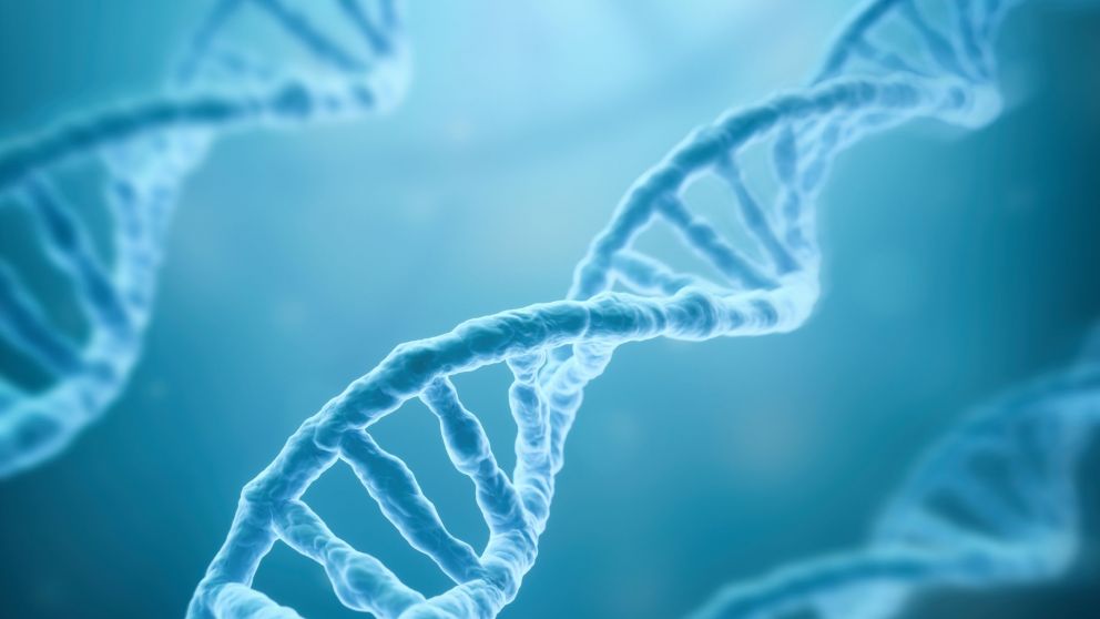 ¿Cómo lograron leer las letras de las cadenas de ADN de un genoma humano?