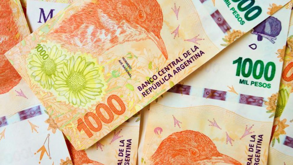 La liquidación de SUAF se puede consultar en Mi Anses