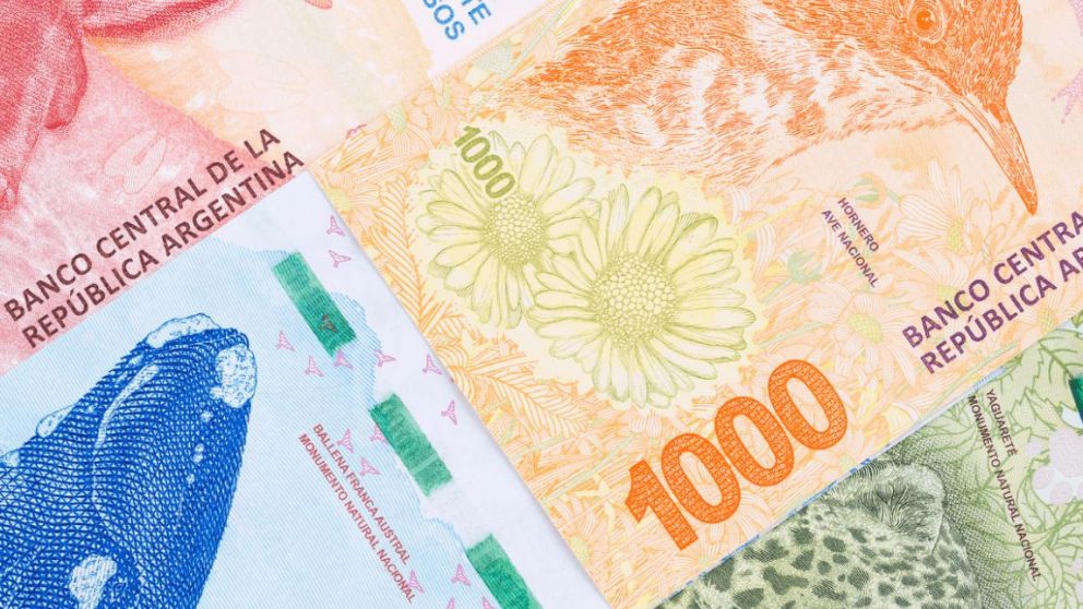 Fecha y lugar de cobro Anses