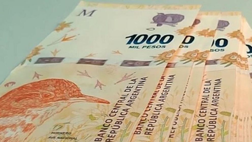 Calendario de pagos Mi Anses