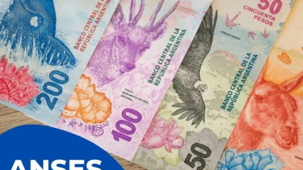 Cuatro grupos de beneficiarios están habilitados a recibir el bono de $5.000