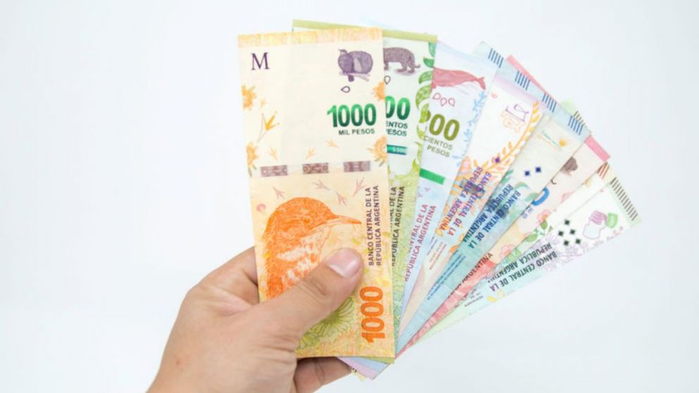 Programa Más Cultura Joven