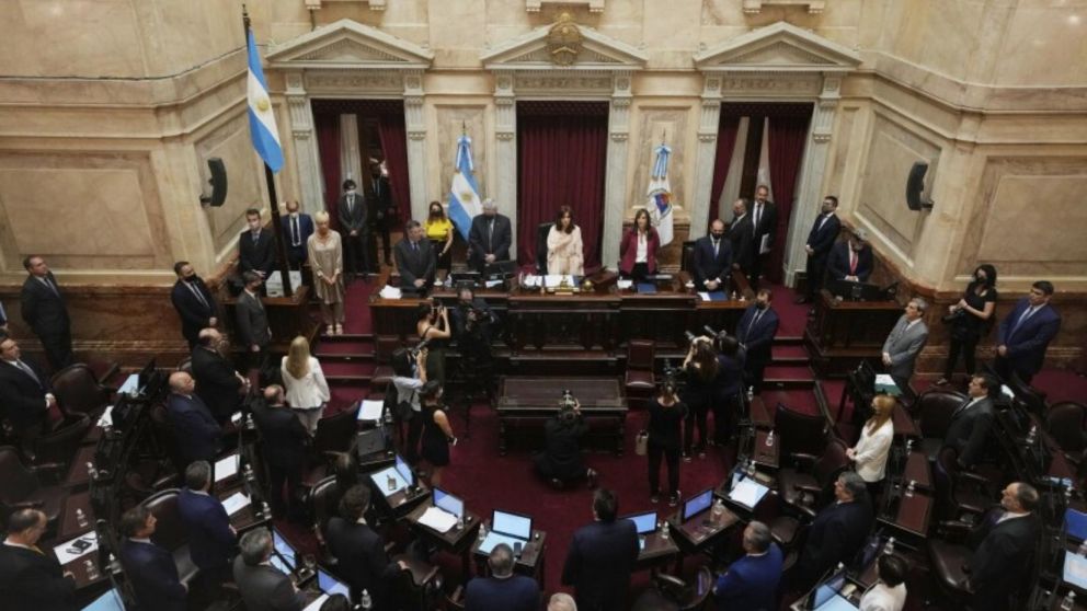 Trece senadores del Frente de Todos votaron en contra del acuerdo con el FMI: quiénes son y por qué lo hicieron