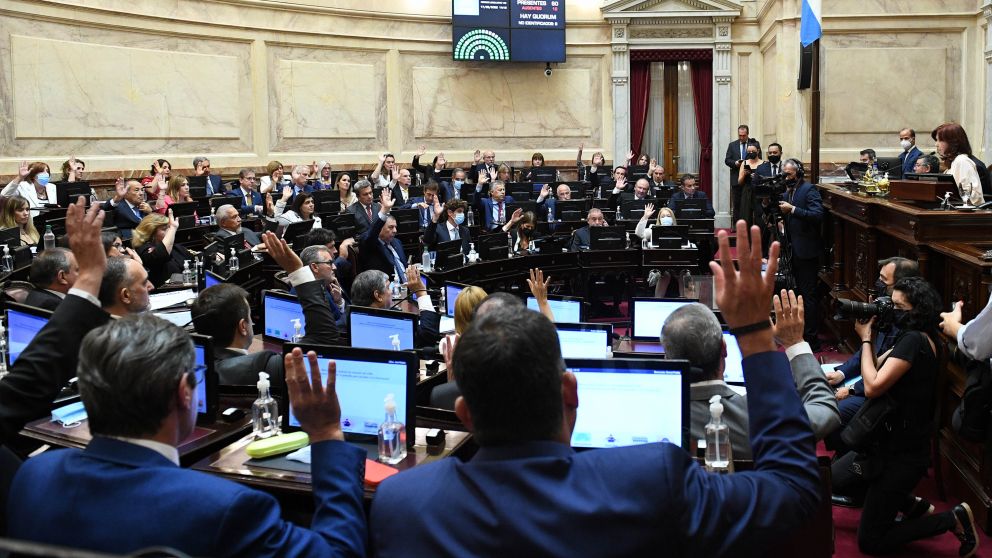 El Senado sancionó el acuerdo con el FMI con apoyo de la oposición y una parte del FdT