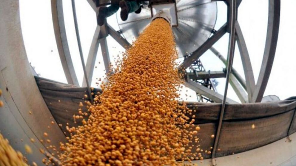 Harina y aceite de soja son los subproductos que elevarían las retenciones hasta 33%