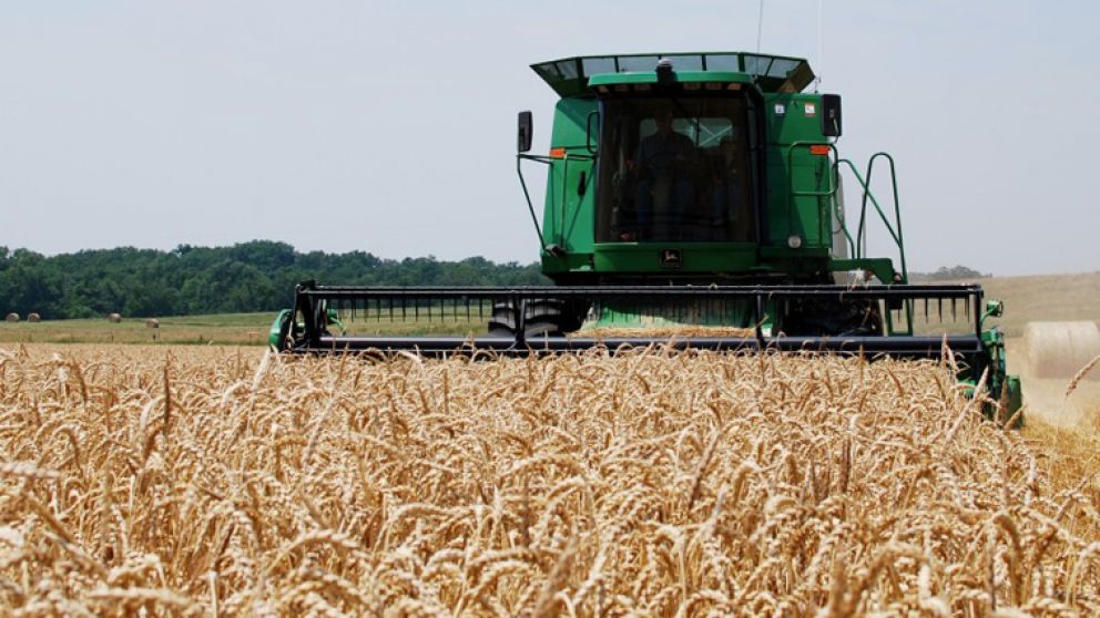 Argentina exporta casi 6 millones de toneladas del cereal sobre los 7 millones que necesita Brasil