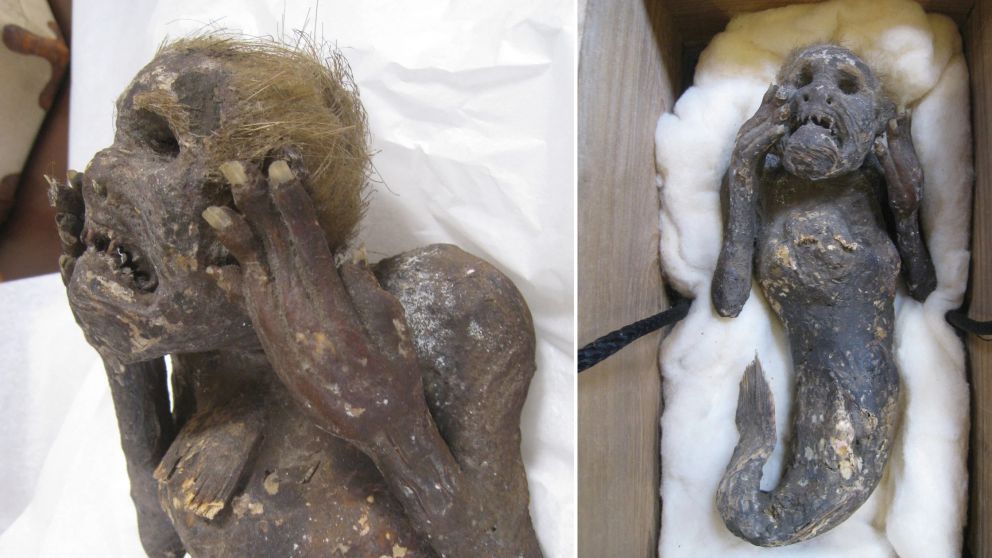 La sirena fue encontrada en una isla del Pacífico