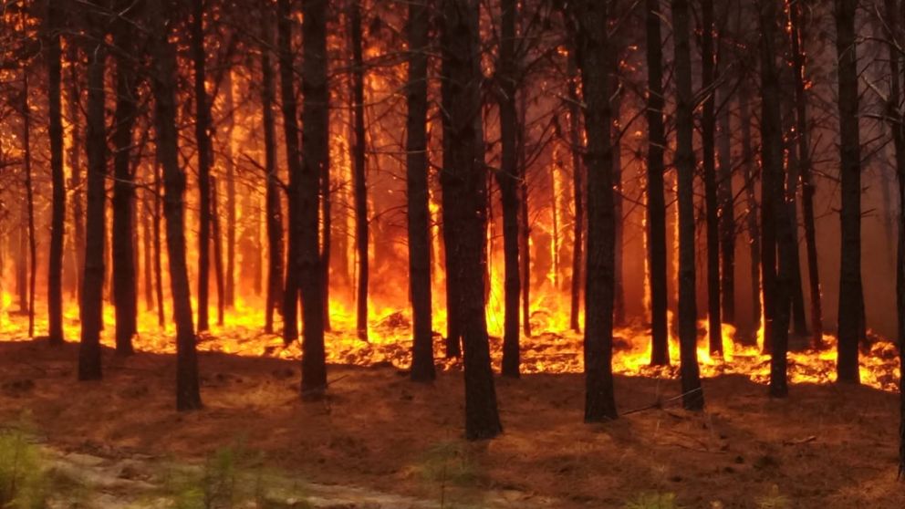 Recién para mañana se espera un frente de lluvias que pueda frenar el fuego