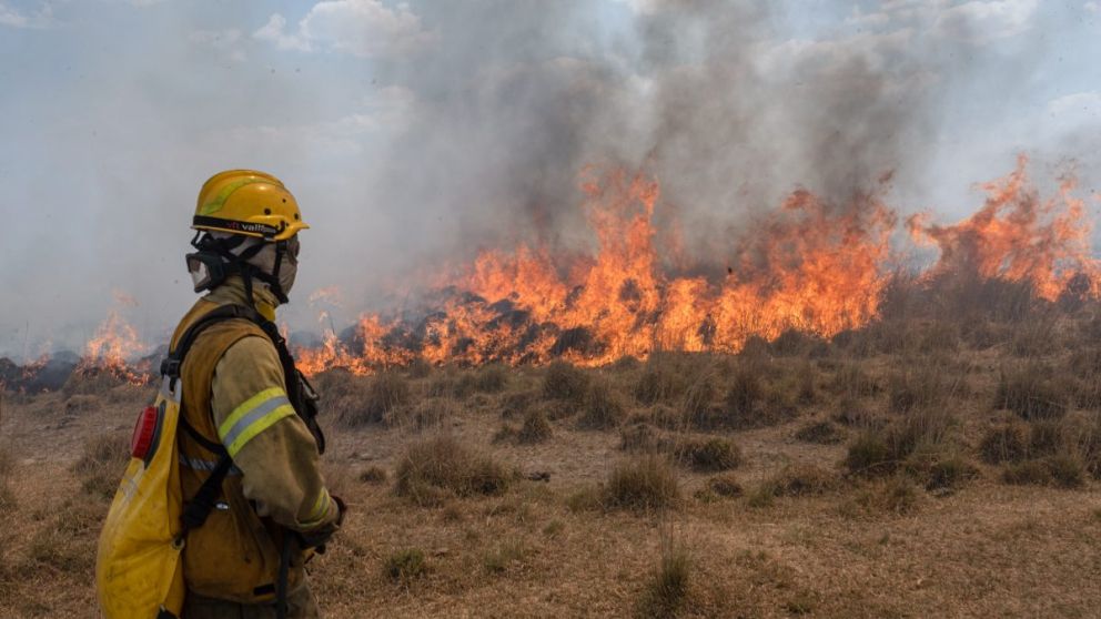 Ya se registraron 785.238 hectáreas quemadas en el área