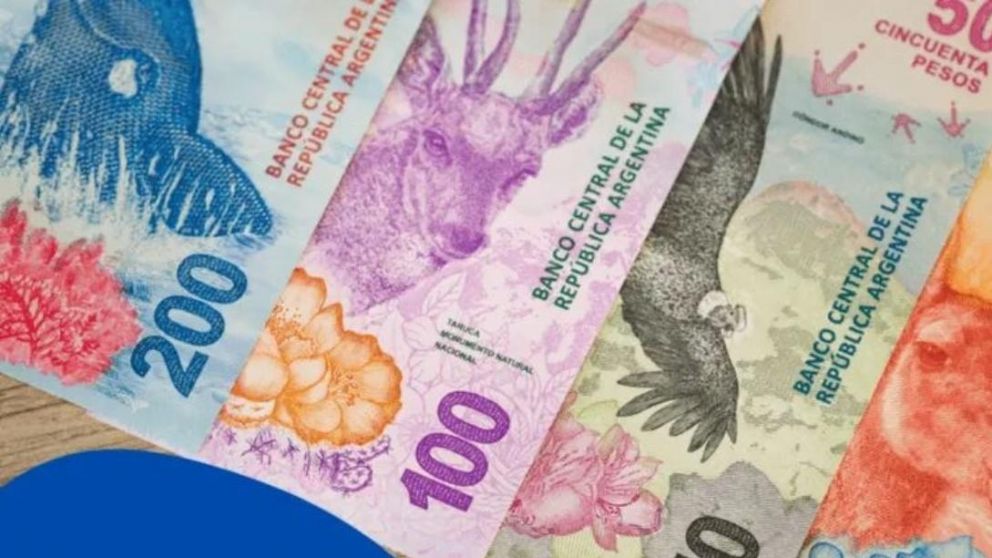 Fechas de cobro Anses