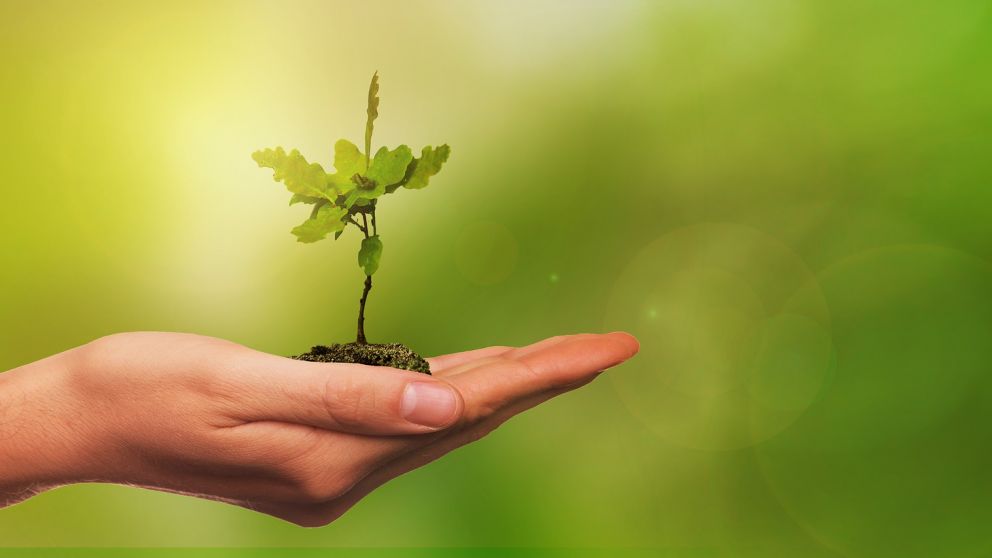 Consumidores j�venes y medio ambiente: m�s inquietud en pa�ses emergentes