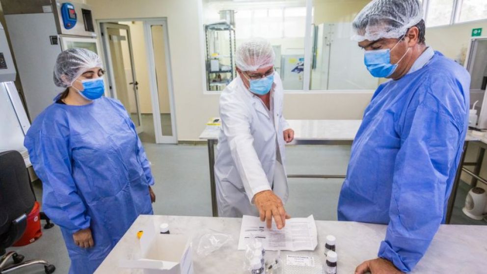 Con el inicio de la producción se buscará inversión para ampliar