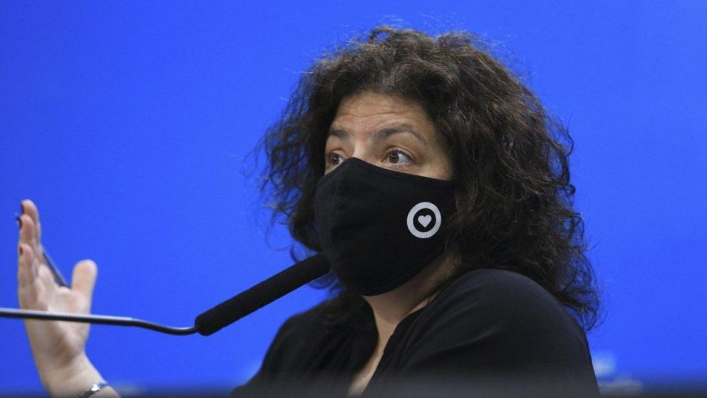 "No es necesario una ley desde lo regulatorio", dijo Vizzotti