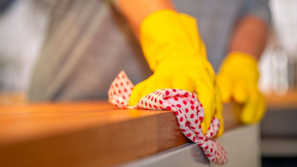 Beneficio para empleadas domésticas y empleadores