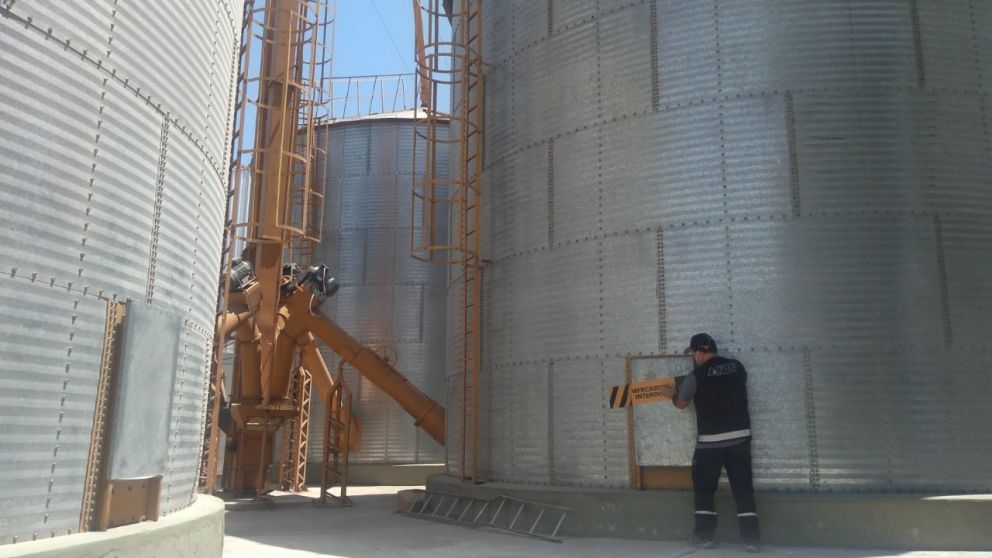 La AFIP evitó maniobras de evasión por 2.464 toneladas de granos