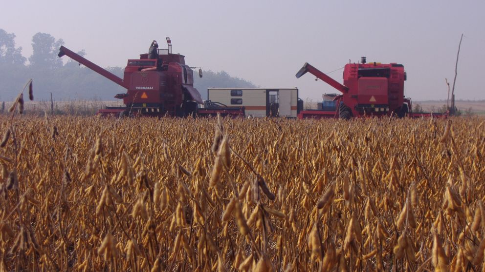 El 51% de los costos de soja están dolarizados