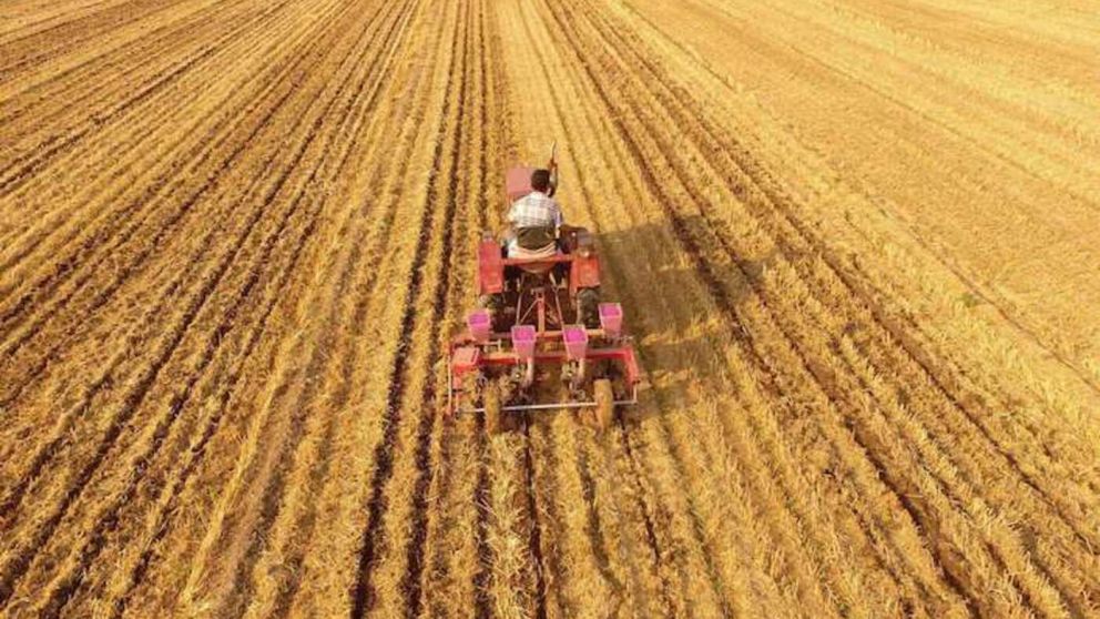 China pasaría a producir 23 millones de toneladas anuales