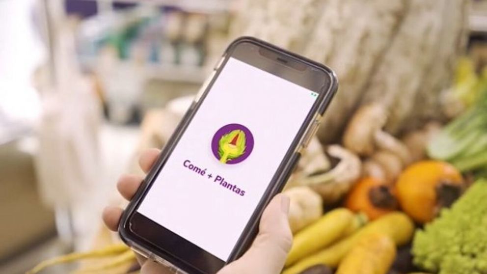 Desarrollada junto a Microsoft