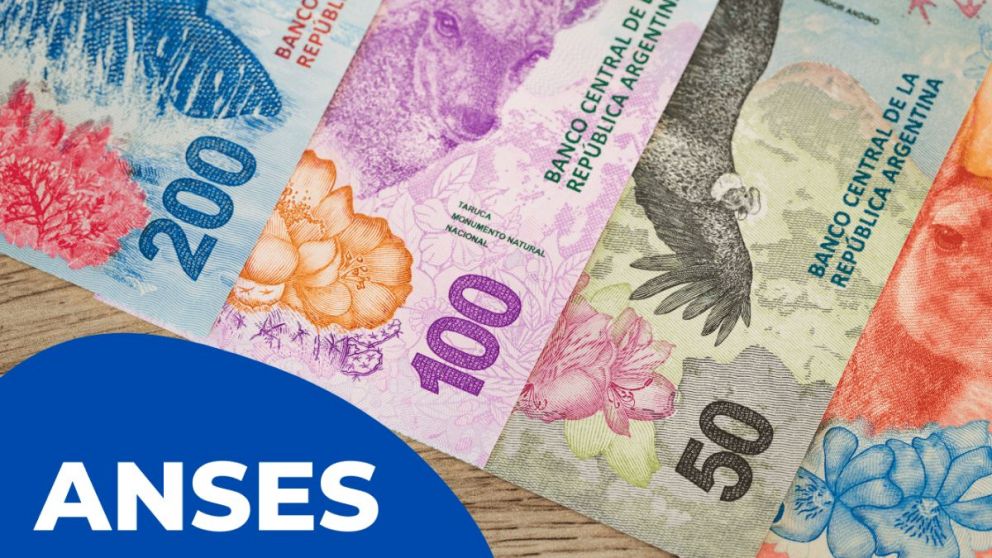 Fecha de cobro Anses