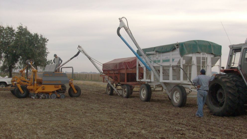 En el trigo se aumentó un 14% el uso de esta tecnología
