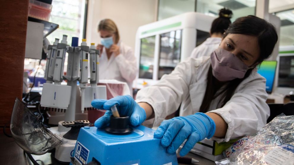 Coronavirus en Argentina hoy