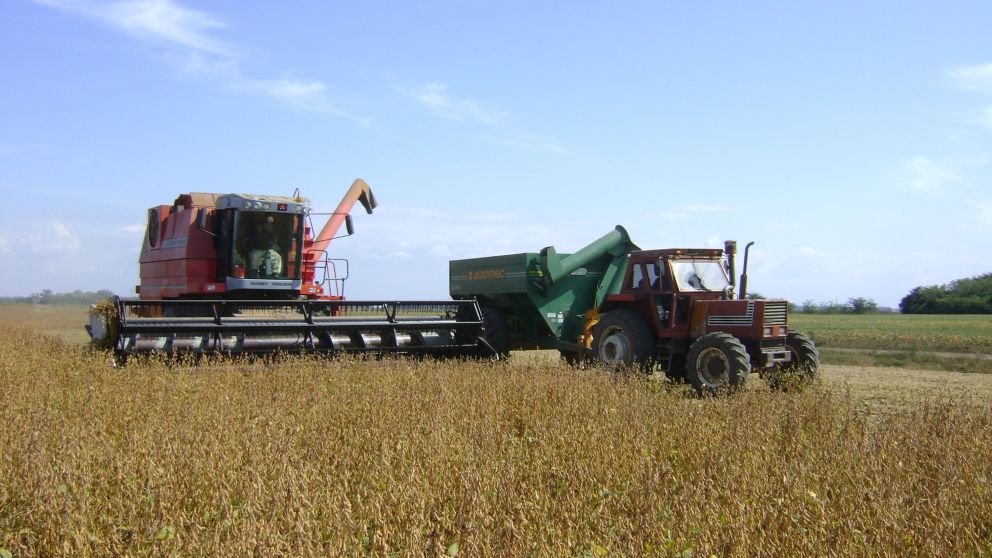 Las últimas lluvias apuntalaron al cultivo de soja