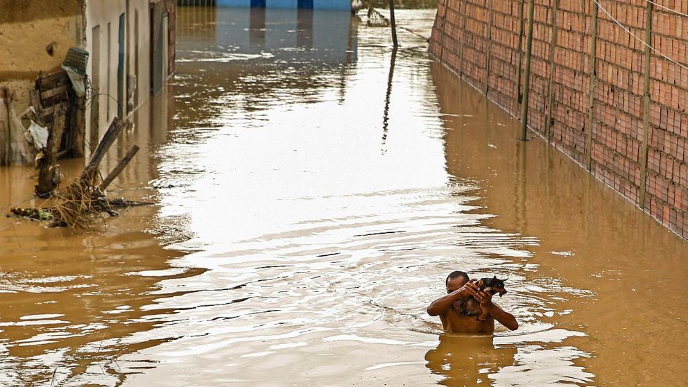 Inundaciones en Brasil: un hombre tapado de agua le salva la vida a un perro