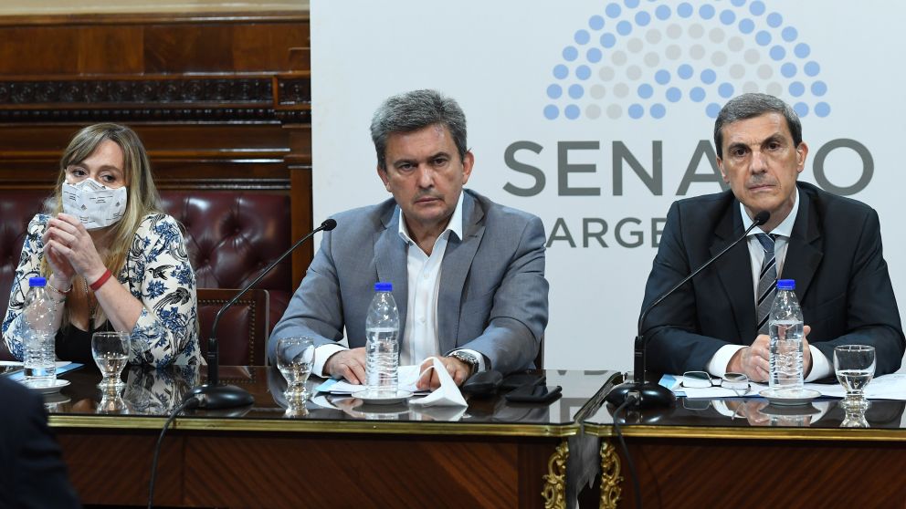El Senado aprob� en comisi�n los cambios al proyecto que reforma Bienes Personales