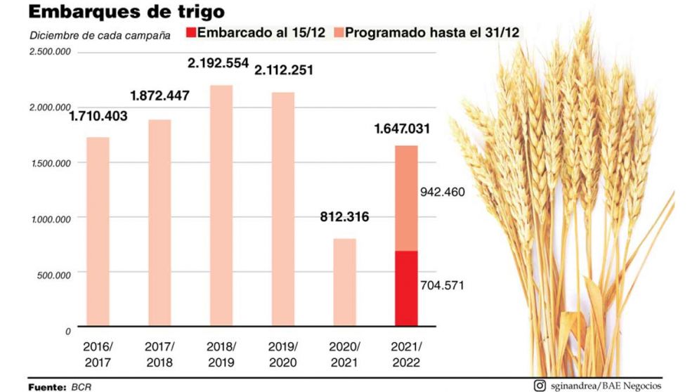 En diciembre, las exportaciones de trigo generarán divisas por USD400 millones