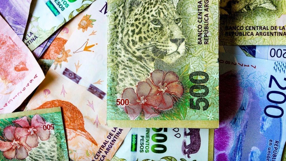 Repro II de agosto 2021