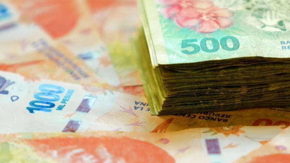 El Tesoro ya recibi� 200.000 millones de pesos del Banco Central