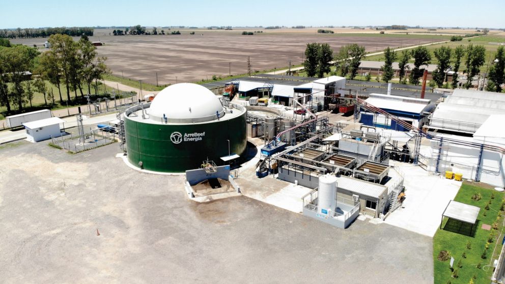 Frigorífico invierte 6,5 millones de dólares en un planta de energía renovable