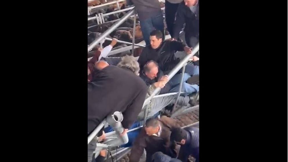 El momento en el que se desmorona la pasarela del nuevo Mercado Agroganadero