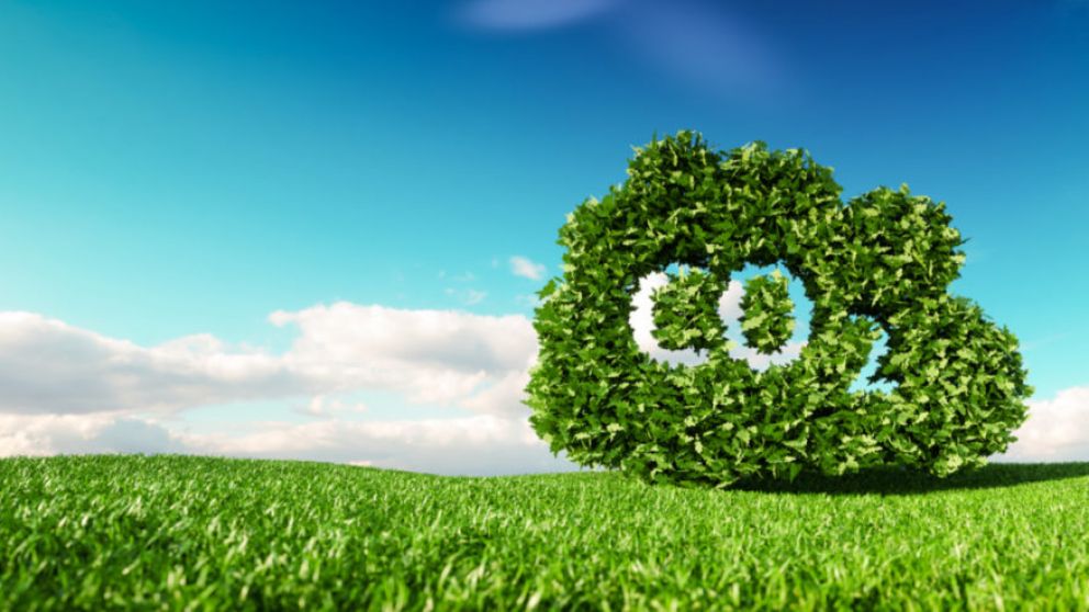 El 60% se compensó con Fundación Banco de Bosques