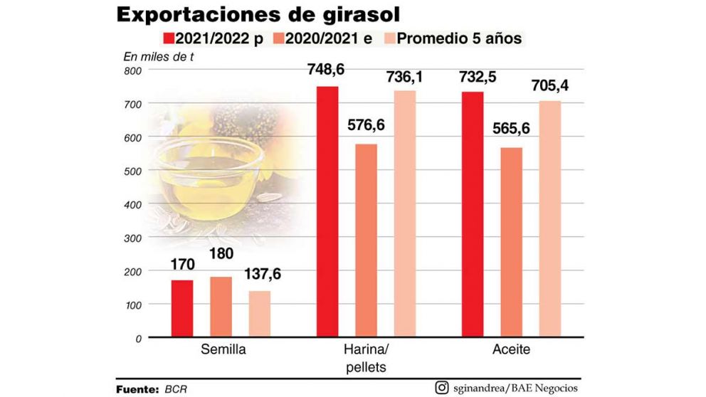 El girasol duplicará el ingreso de divisas y aportará USD1.100 millones