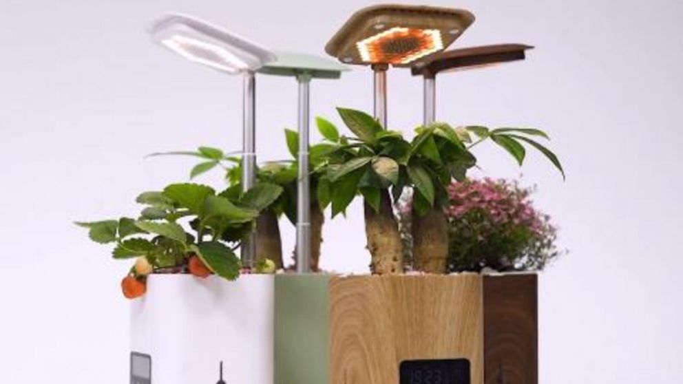 Maceta tecnológica 6 en 1