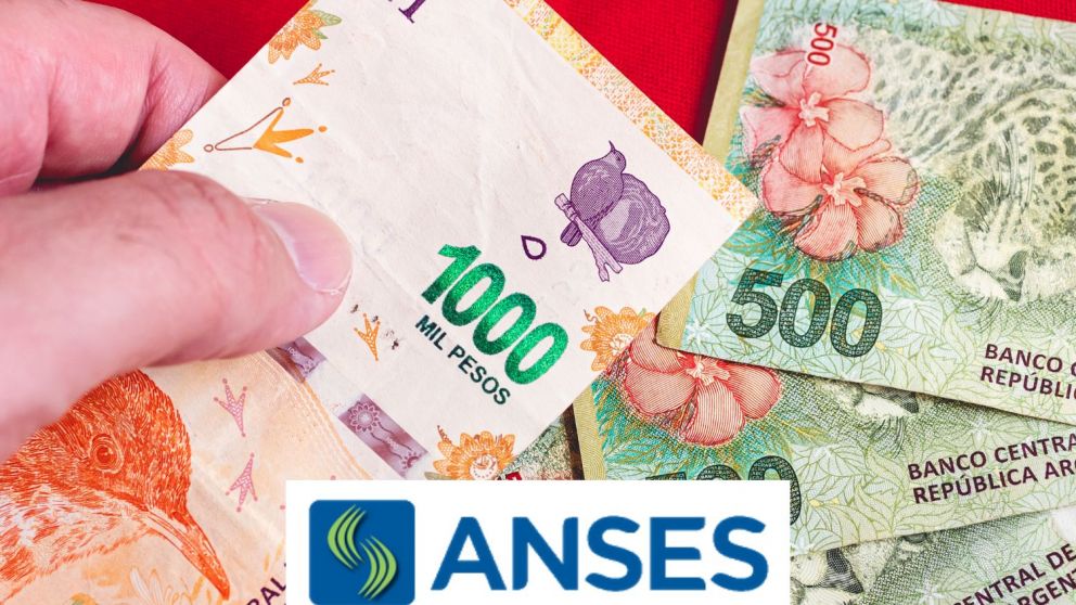 ¿Quienes cobran el complemento?