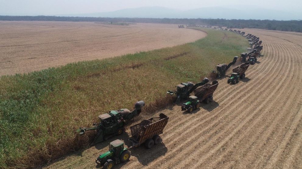 El grupo local Ledesma finalizó la zafra de este año