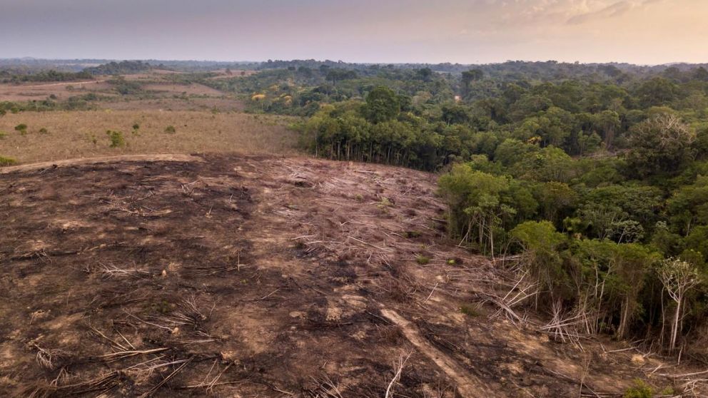 El vicepresidente brasileño admitió las dificultades que tienen los organismos brasileños para perseguir la deforestación y los crímenes ambientales