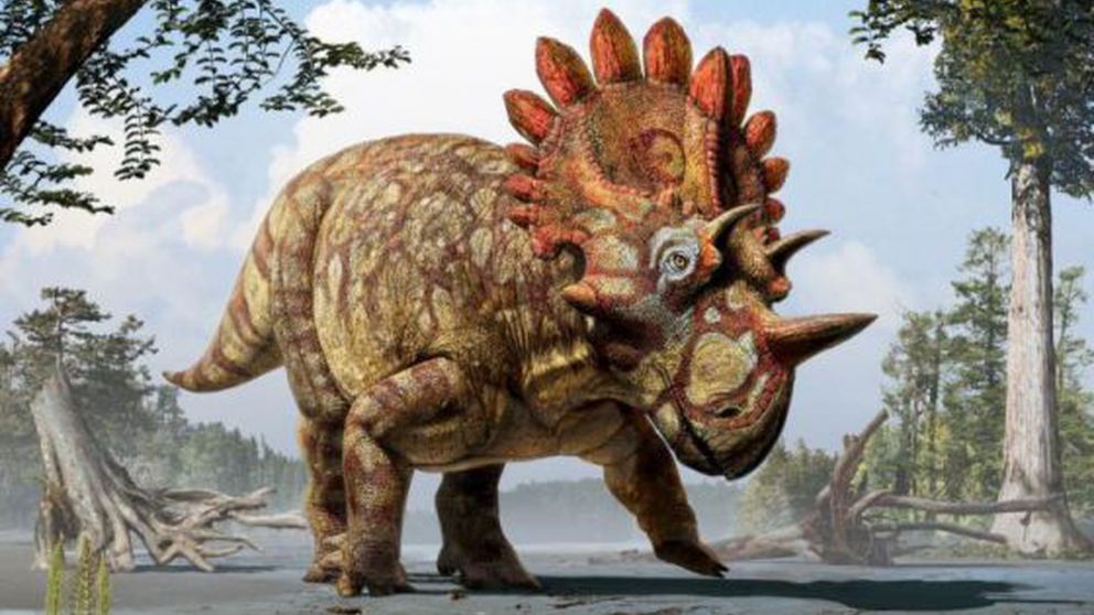 El dinosaurio subastado tenía 66 millones de años de antigüedad