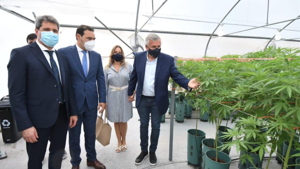 Gerardo Morales estuvo en la inauguración del Complejo de Biotecnología destinado a la producción de cannabis medicinal