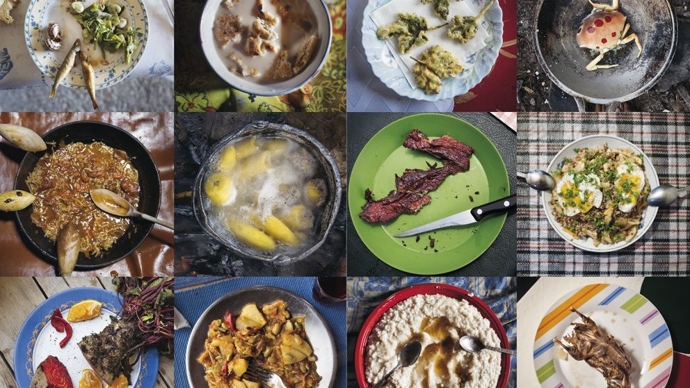 El homo sapiens el mayor extinguidor de especies