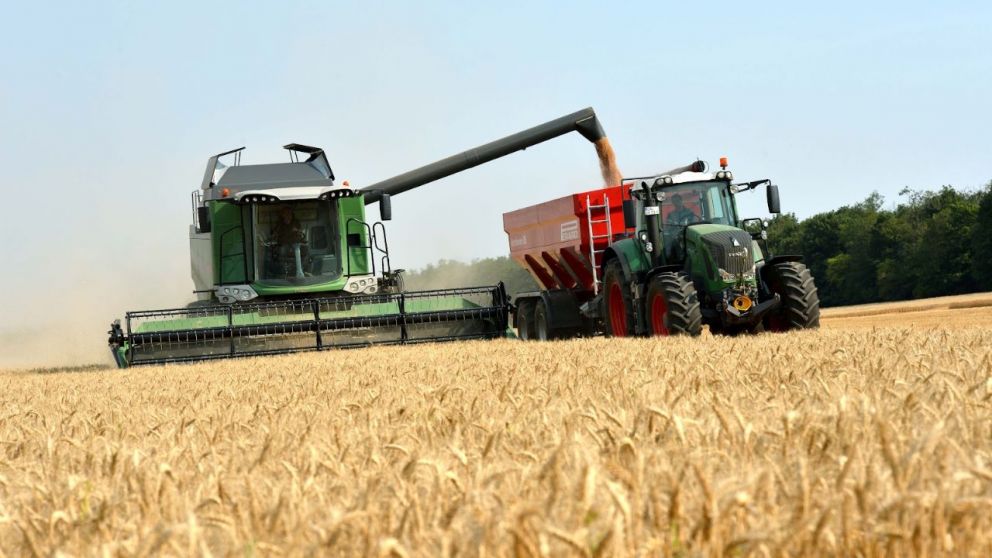 En Argentina se espera una cosecha de 20,5 millones de toneladas