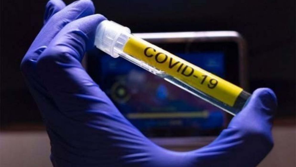 Los anticuerpos contra el coronavirus generados por las vacunas comienzan a disminuir al transcurrir los meses