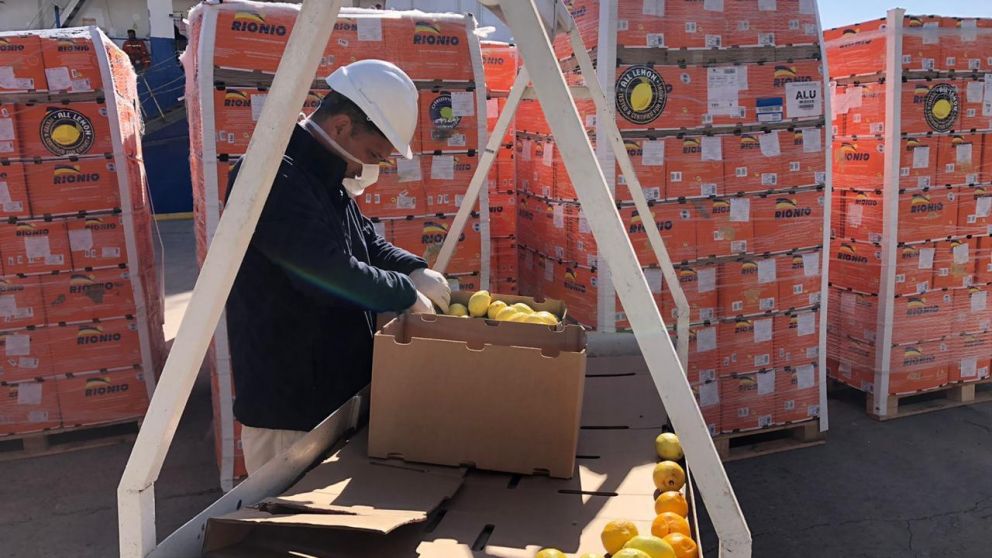 La medida impulsará la exportación de cítricos