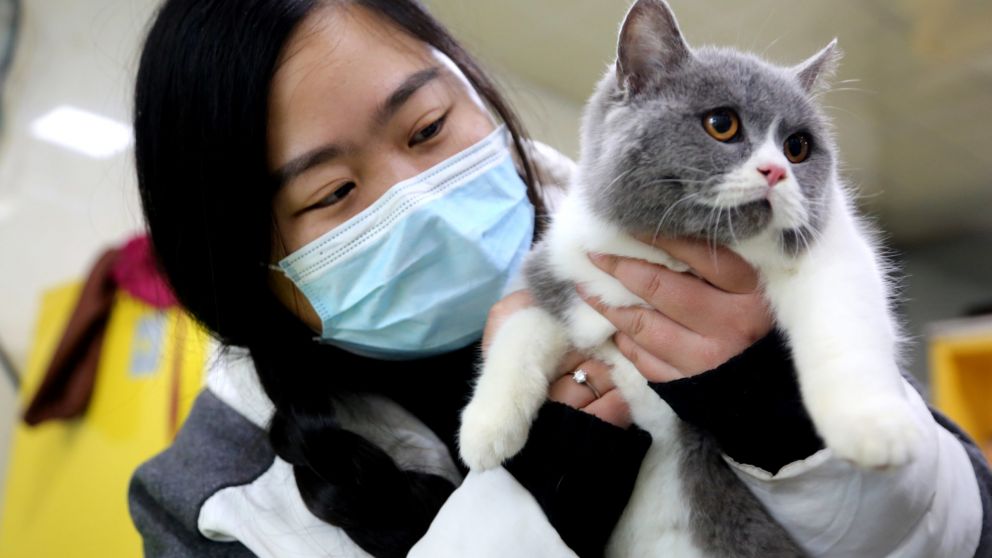 La ley china permite sacrificar animales para evitar la pandemia