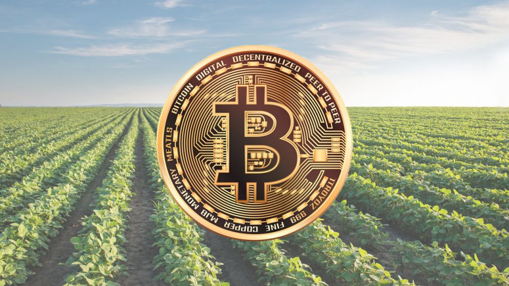 A diferencia del bitcoin, la criptosoja es una stablecoin, cuyo valor se respalda en la soja