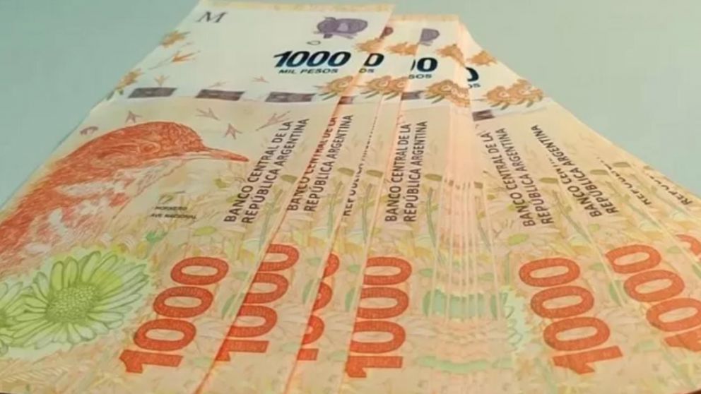 El monto se acreditará en las cuentas de AUH de Anses